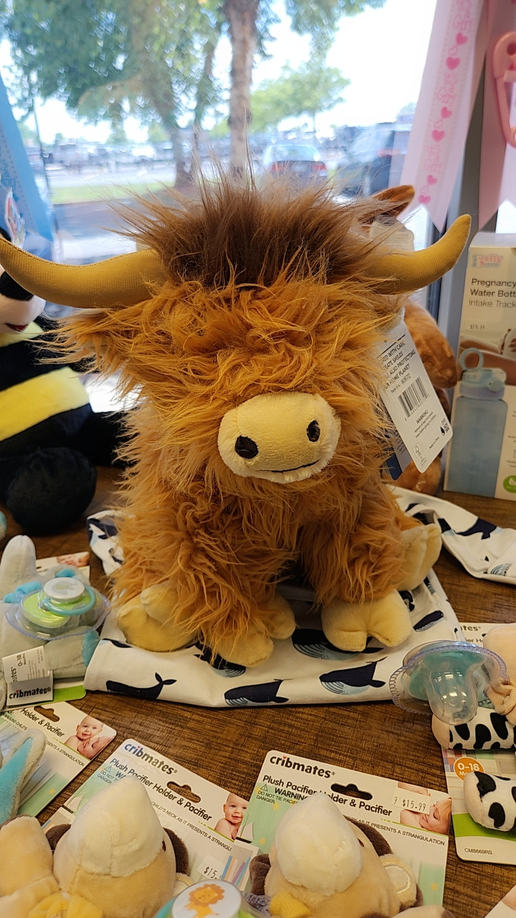 Highland Cow